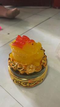 Product Review of Bộ cóc thiềm thừ tỳ hưu phong thủy tài Lộc xoay 360* from N**t A** 0