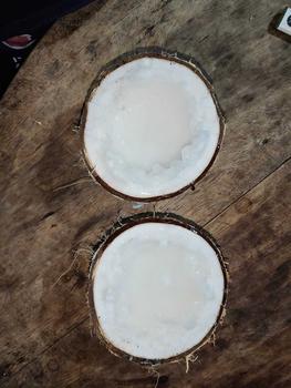 Product Review of Dừa Sáp Cầu Kè Loại 3 - Size Lớn (Trái 1.1Kg-1.2Kg) -  Chuẩn Sáp Loại 3​​ (Khô) from y** t**n 0