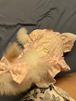 Product Review of Pet Dress Floral Pattern Pleated Hemming Windproof Pet Vest Puppy Flying Sleeve Clothes for Spring from k**t 2