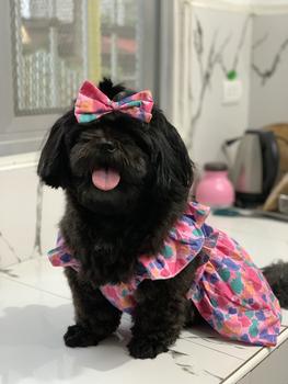 Product Review of Pet Dress Floral Pattern Pleated Hemming Windproof Pet Vest Puppy Flying Sleeve Clothes for Spring from B**🐶 1