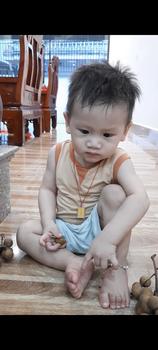 Product Review of Áo Giữ Nhiệt In Hình Khủng Long Đáng Yêu Chất Liệu Petit Mềm Mịn Cho Bé Từ 1-5y UalaRogo UR 2342 from T**y 0