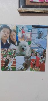 Product Review of Customize Photo Tiles Wall Decor Art from À**1 0