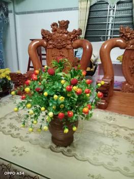 Product Review of Bộ lụa yếm phối ren, lụa latin mềm, mịn ko nhăn. Quần có túi freesize cho chị e từ 40-58kg Áo from k**g q**n 0