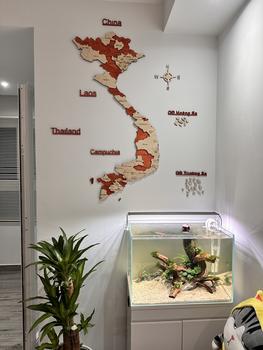 Product Review of Bản đồ trang trí Việt Nam 2 lớp gỗ mix màu thủ công 3D poster  việt from K**n Y**n 0