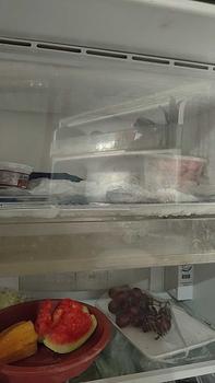 Product Review of Tutup Freezer Kulkas Panasonic Original (Gratis Buble) from n**1 1