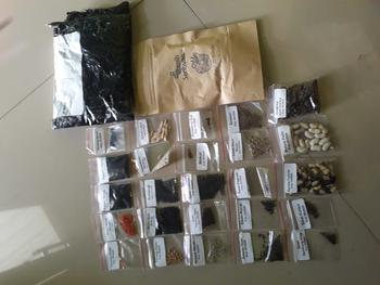 Product Review of Paket 25 Bibit Sayuran Mudah Tumbuh Benih Seribuan from n** 3