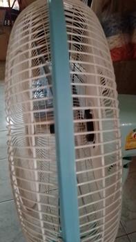 Product Review of ขอบรัดตะแกรงพัดลมฮาตาริ มีทุกสี รุ่น 12 / 14 / 16 / 18 นิ้ว ขอบรัดตะแกรง Hatari รัดตะแกรงพัดลม อะไหล่พัดลม from บ**น 🙂** 0