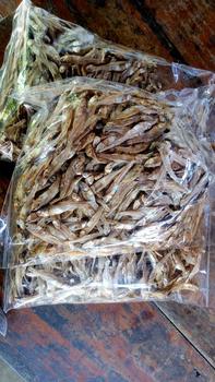 Product Review of ปลามะลิ ครึ่งกิโล ซื้อ 1 แถมฟรี 2 from M**v 2