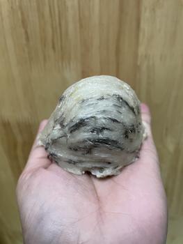 Product Review of Tổ Thô AB (tổ lớn) GIÀ ĐẸP ÍT LÔNG - Tổ Yến biển Miền Trung from M** c** M** ** 0