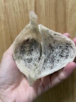 Product Review of Tổ Thô AB (tổ lớn) GIÀ ĐẸP ÍT LÔNG - Tổ Yến biển Miền Trung from M** c** M** ** 3