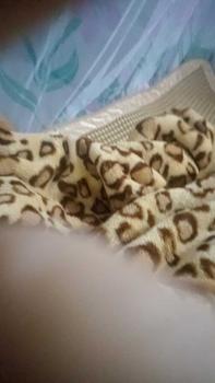 Product Review of Áo khoác vãi ati , cổ lọ ,tay 2 lớp, có4 túi, có sỏ ngón from N** T**n ** 👣** 1