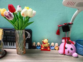 Product Review of Hoa Giả - Hoa Tulip nhiều màu sắc trang trí xinh xắn, nhẹ nhàng, phụ kiện decor phòng Hoa Sen from c**7 0