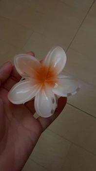 Product Review of Hawaiian Colorful Flower Hair Clip Fashion Flower Hair Clips Girls Acrylic Hairpin Summer Beach Hairpin Barrettes Accessories Hairpin Barrettes Fashion Accessories from r**o 0