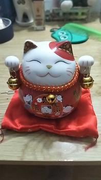 Product Review of 【Hot】 Hũ Tiết Kiệm Mèo Kèm Thảm Decor Decor Phòng Ống Heo Đựng Tiền Ống Tiết Kiệm from L**🤍 0