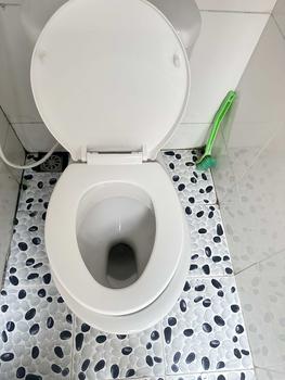 Product Review of KS.44 Nắp bồn cầu rơi nhanh màu trắng sữa, thay cho bồn 2 khối két nước rời, rộng 36-37cm, dài 42-44cm. Ốc 7cm. from P**g T**n 0