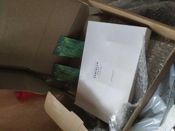 Product Review of SKIN1004 Madagascar Centella Ampoule Kit (Centella + Tone Brightening + Poremizing + Tea-Trica Ampoule 30ml) - All-in-one Serum/Ampoule Kit from N**8 1