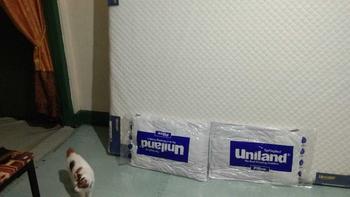 Product Review of Uniland Springbed Rivera Plushtop Paris - Hanya Kasur Spring Bed Matras from d**9 0