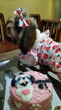 Product Review of Pet Dress Floral Pattern Pleated Hemming Windproof Pet Vest Puppy Flying Sleeve Clothes for Spring from j**i 1