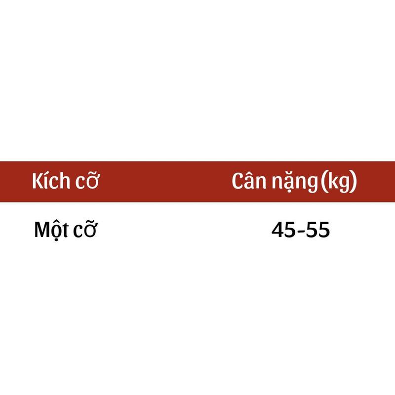 Chân Váy Ren 3 Tầng Có Lót Quần Lưng Thun Chân Nữ Women Top dáng xoè 9