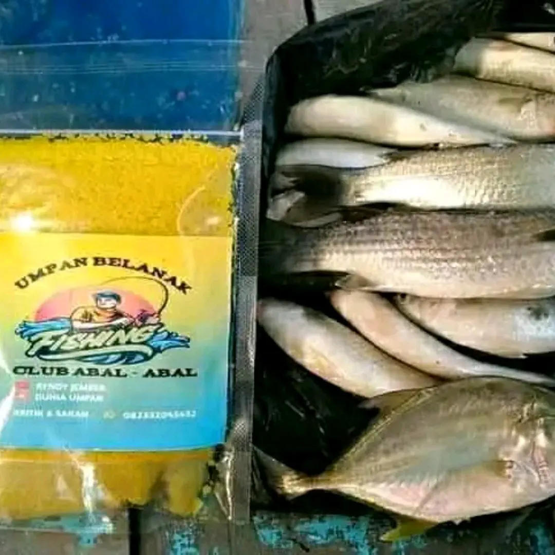Umpan belanak