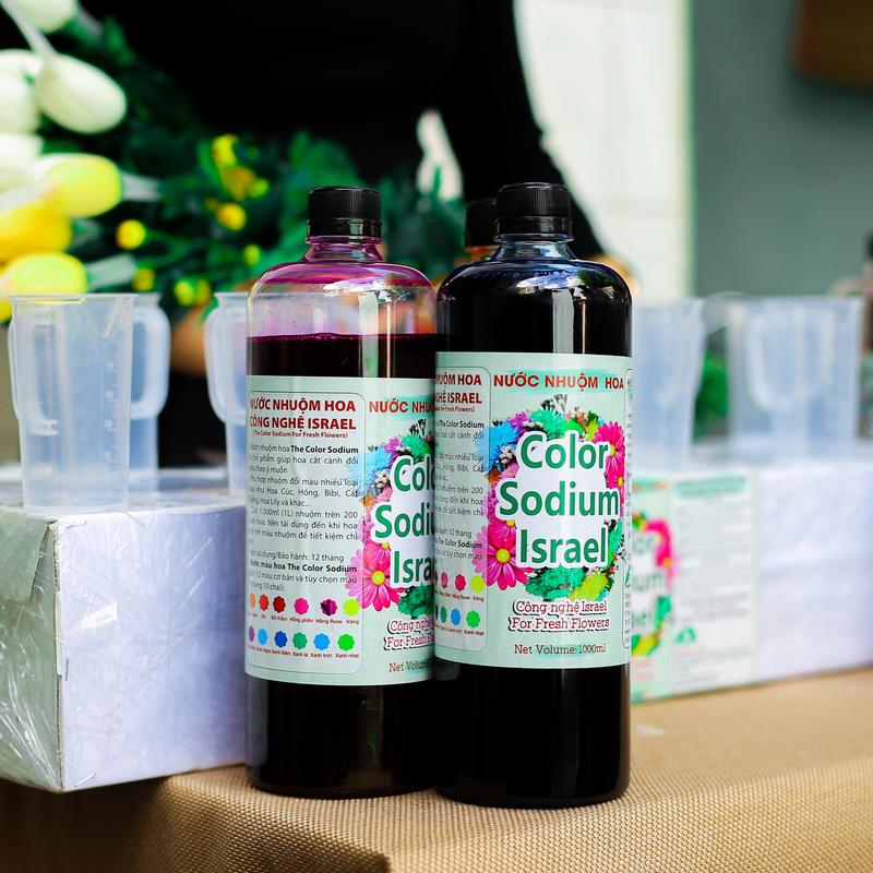 Nước nhuộm hoa tươi The Sodium Israel đổi màu theo ý muốn (Chai 1L nhuộm hơn 250 bông) gồm 12 màu cơ bản 4