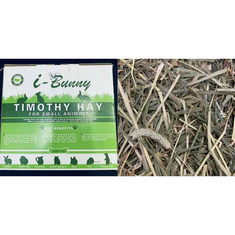 Gallery image with a fresh perspective