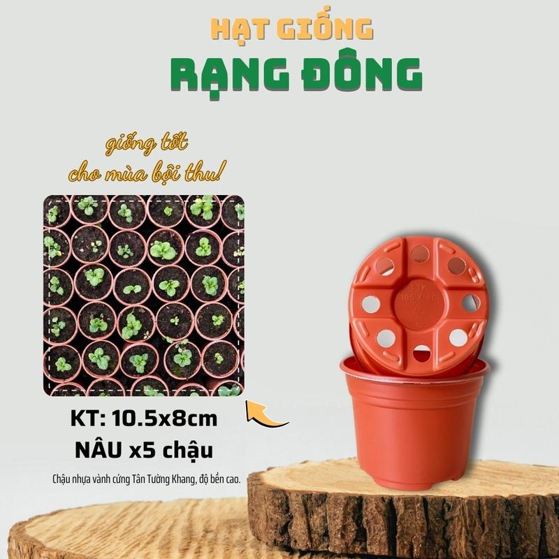 5 cái Chậu Trồng Cây 105x80mm Nâu Trắng hiệu Tân Tường Khang vành cứng chịu nhiệt tốt bền - Hạt giống Rạng Đông