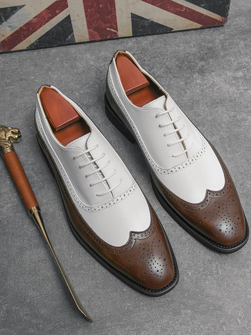 Product Introduction of Men's Fashionable Colorblock Lace Up Dress Shoes, Casual Comfortable Breathable Business Style Shoes for Work Office, Fashion Shoes for Party, Daily Clothing Decor 5