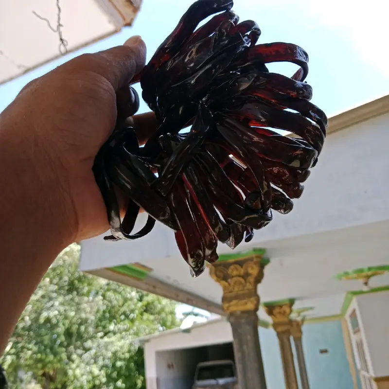 Gelang Akar Bahar Merah Tembus Cahaya Berkualitas 0