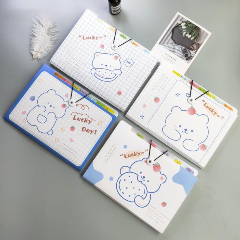 Túi đựng tài liệu - cặp đựng giấy tờ nhiều ngăn kẹp file túi đựng tài liệu A4