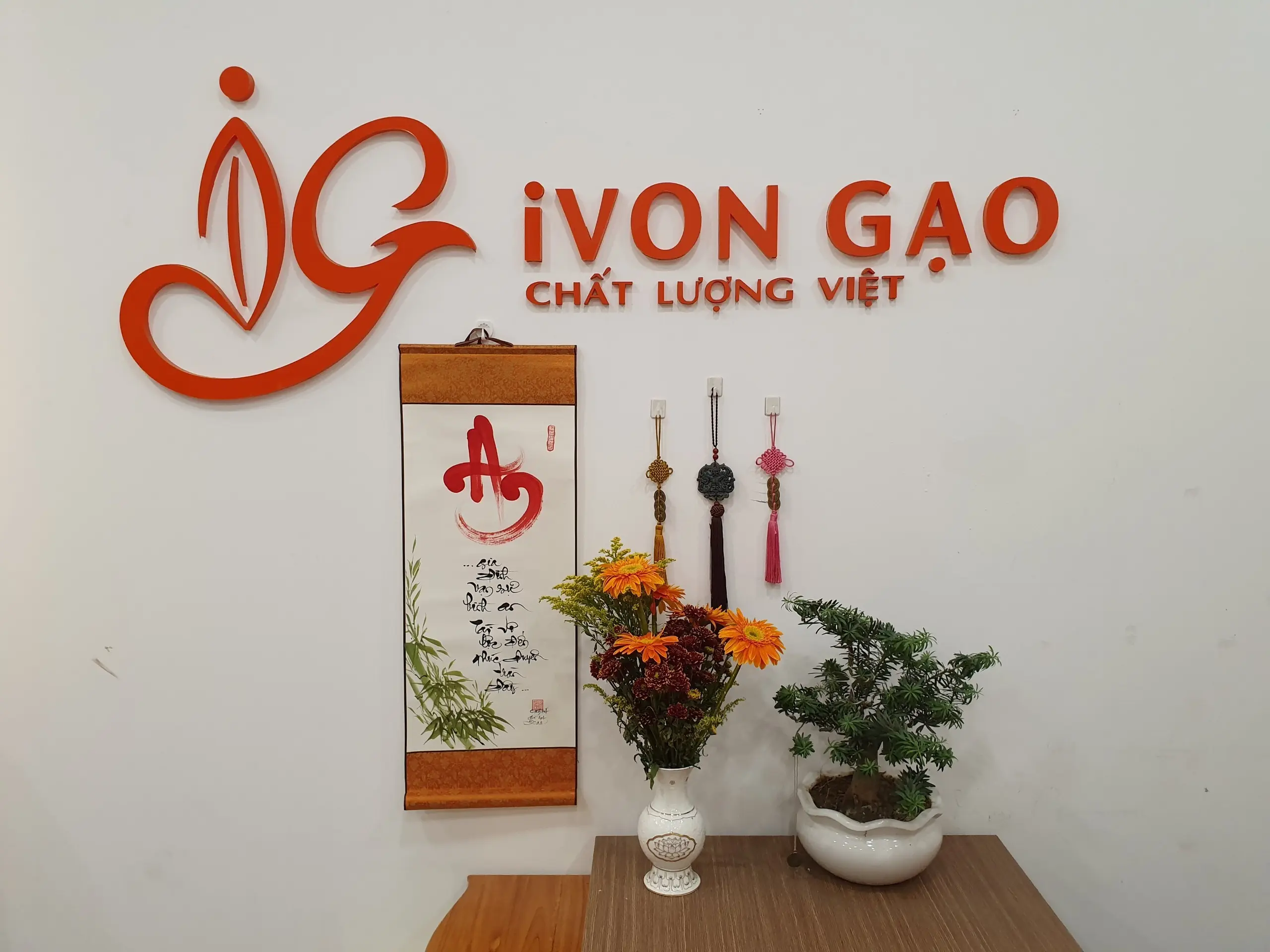 iVON GẠO - Gạo Nở Xốp Thường (Túi 5kg) - Gạo dẻo, hạt nhỏ, thơm