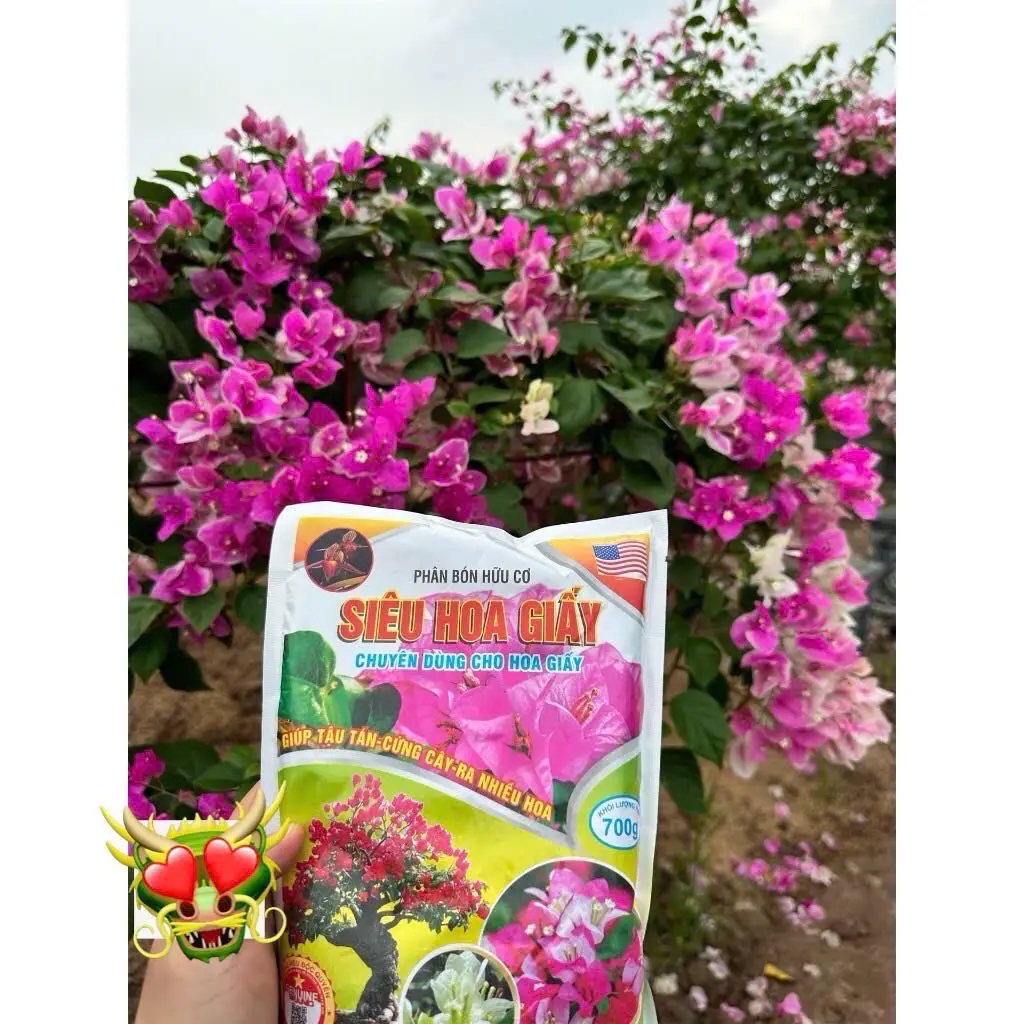 Phân bón Siêu Hoa Giấy gói 700g - Chuyên dùng cho hoa giấy