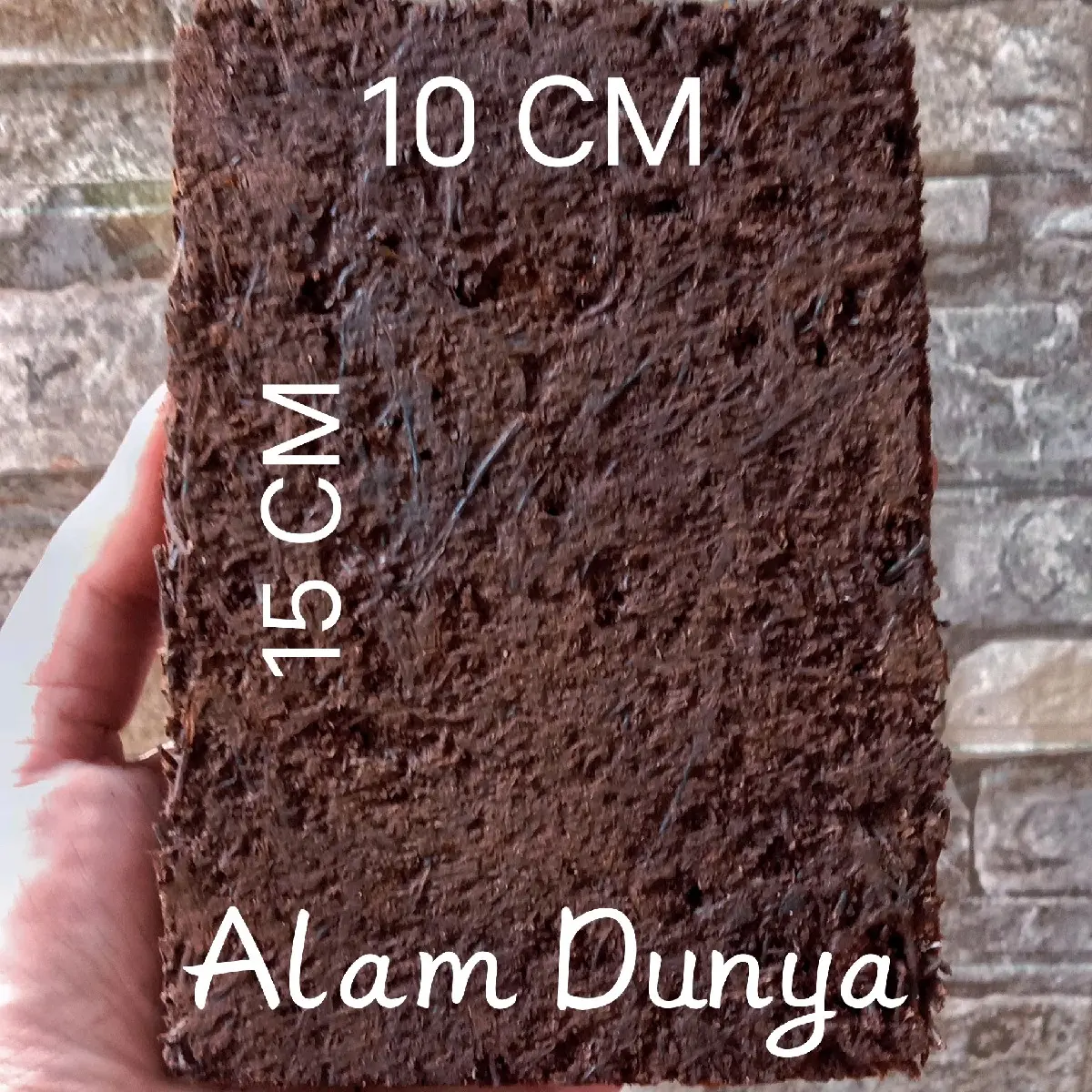 Papan pakis ukuran 15x10 cm media tanam