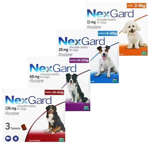 Viên Nhai NexGard Trị Ve, Bọ Chét và Ghẻ Cho Chó