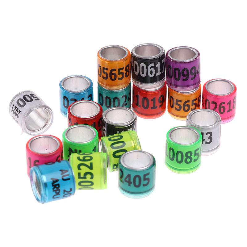 Product Introduction of 20 pcs Pigeon Foot Ring With Word Earrings 2023 Multicolor Bird Tools 12