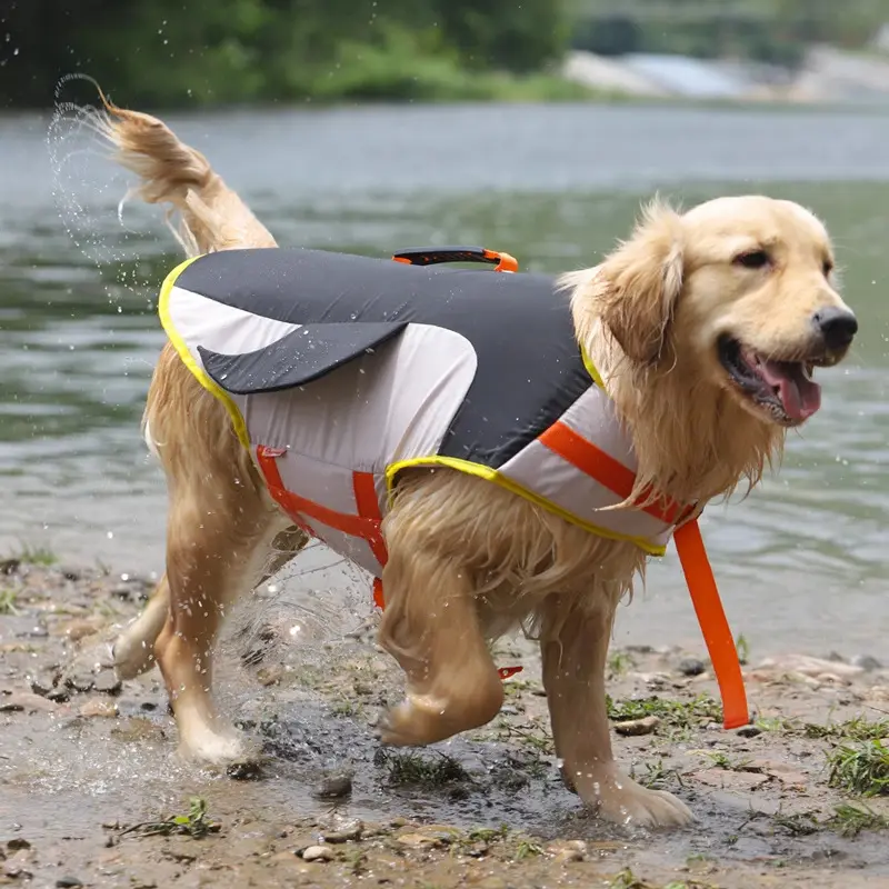 2025 Dog Life Jacket Summer Pet Dog Corgi Golden Retriever Clothes Shiba Inu Labrador Swimwear Summer Buoyancy Jacket