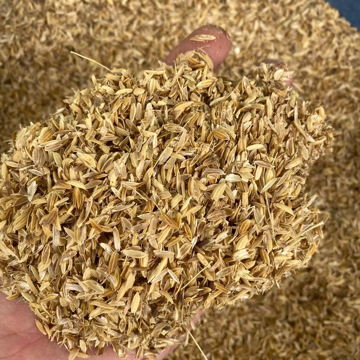 Vỏ trấu trồng cây, trồng rau - 1kg