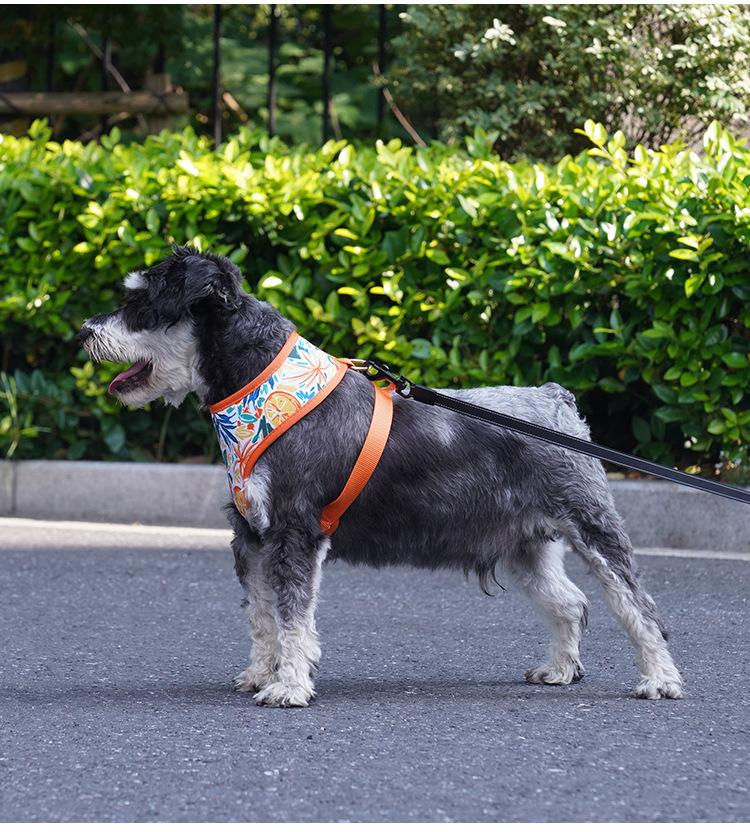 Product Introduction of Dog Harness for Outdoor Use, Breathable Vest for Small and Medium Dogs, Pet Walking Leash for Puppies, Corgis, Shiba Inus 12