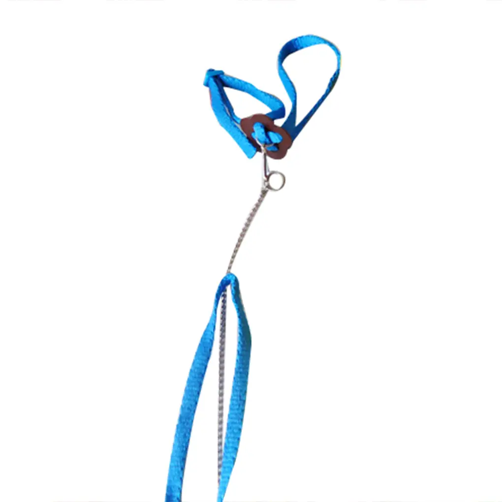 Pet Bird Vest Leash Outdoor Flying Anti-bite Nylon Adjustable Bird Training Walking Leash Rope