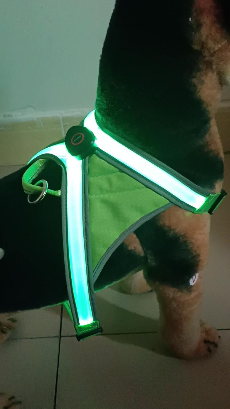 Product Introduction of Pet cat and dog cross double light strip undershirt USB rechargeable light up cat and dog chest and back strap warning clothes cat  clothes harness pet  harness 19