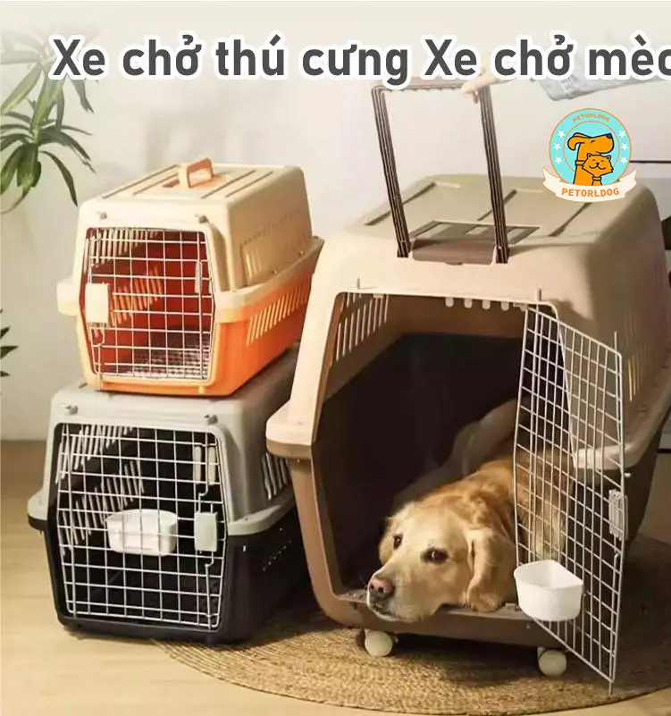 Lồng Vận Chuyển Hàng Không Chó Mèo 48x32x30cm dưới 6kg và 56*37*35cm dưới 10kg, Lồng Vận Chuyển Chó Mèo Đi Xa Perorl Cute