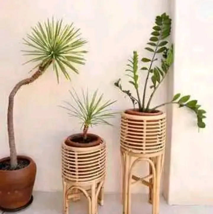 [READY] STANDING POT ROTAN ASLI PERNISH / MENGKILAP / TEMPAT POT BUNGA/ SERBAGUNA