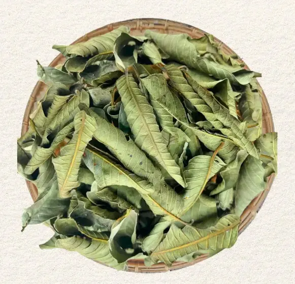 Lá ổi khô Shop Thảo Dược - Trà lá ổi khô từ thiên nhiên - Tea, Nước Trà