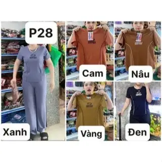 [Mã P28] Sét Bộ Thun Gân Siêu Mềm Mát Sang Xịn