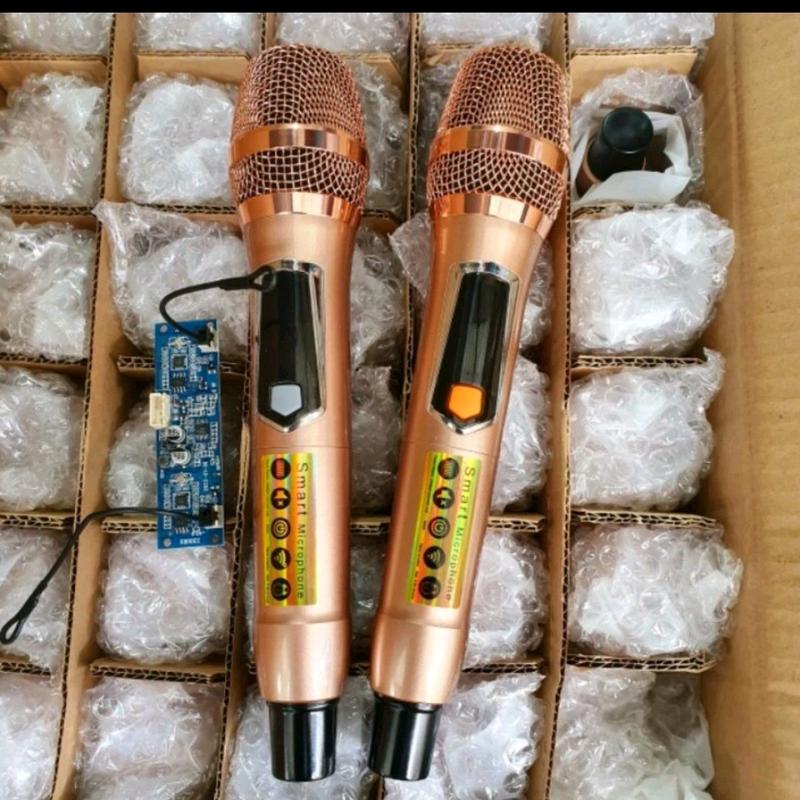 Micro Không Dây Cho Loa Kéo Tay Nhôm UHF Gồm 2 Tay Mic Và 1 Bo Mic UHF (không dây)