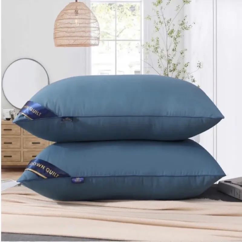 Combo 2 ruột gối nằm loại tốt có khóa kéo 0