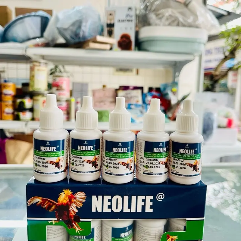 Men tiêu hoá cho gà chọi, gà đá. Ngừa chứng khó tiêu, chướng hơi, tiêu chảy lọ 20ml