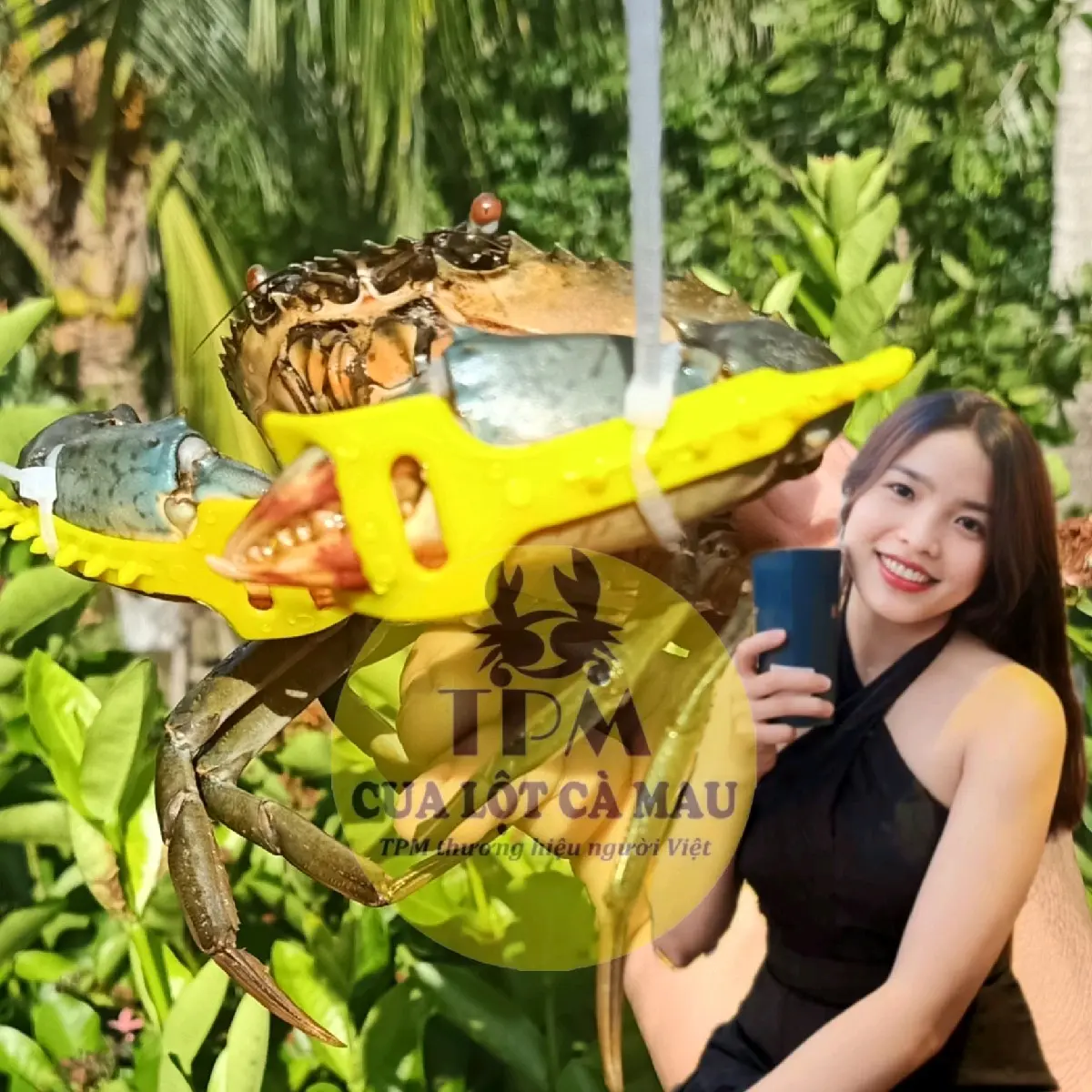 50 cái dây đai trói càng cua ghẹ nuôi mật độ ca0
