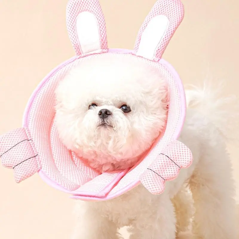 Cute Cartoon Design Pet Collar, 1 Count Adjustable Pet Collar, Pet Neck Cone, Pet Supplies for Dogs & Cats, Pet Accessories 8