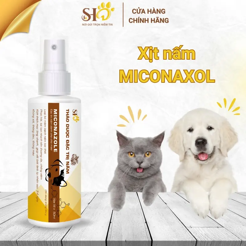 Giải pháp cho nấm da Thảo duợc TrịNấm Micona cho chó mèo dạng xịt 50ml
